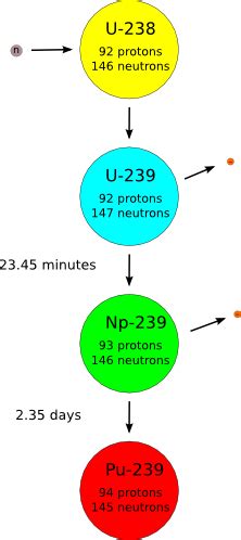 u 238 to pu 239